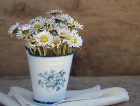 花果山美食家配方，品味自然，享受生活