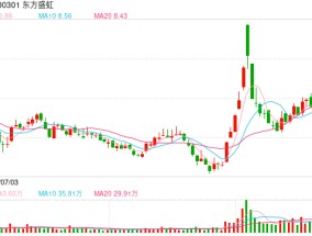 最多不超40亿元，控股股东拟出手，600亿市值公司强势涨停！