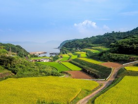 黄梅县新能源开发的探索与实践