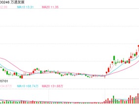 万通发展：因与万科合同纠纷 控股股东所持公司4.85亿股股份被司法标记