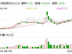 林洋能源：前三季度拟派发现金红利5.47亿元