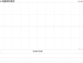 瑞鑫国际集团公布信永中和辞任核数师