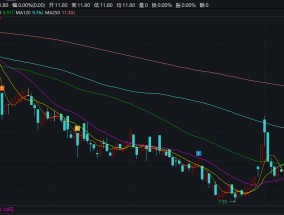 神力股份或将易主 股价提前二连板 四年前的收购余波尚在