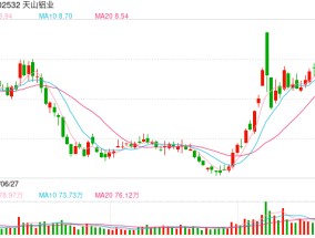 天山铝业获得印尼三铝土矿采矿权