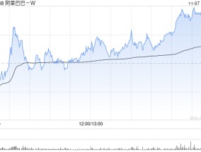 阿里巴巴-W11月6日斥资1995.52万美元回购165.44万股