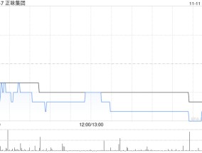 正味集团公布配售协议失效
