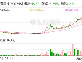 闻泰科技：股东无锡国联集成电路投资中心减持1%公司股份