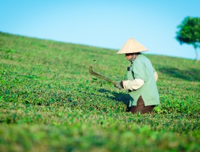 回收母婴物质的公司，环保与关爱并行的绿色事业