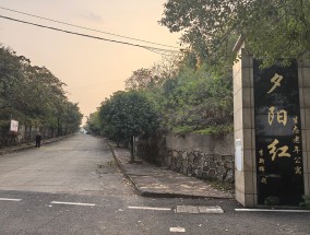 湃调查｜夕阳红公寓爆雷始末（上）：历经20年，一场疯狂庞氏骗局走向崩塌