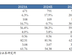 【华安机械】公司点评 | 普源精电：业绩超市场预期，高端化战略成效显著