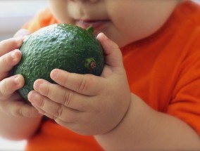 食品安全制度管理，保障公众健康的重要基石