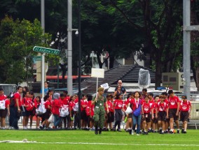 研修总结小学体育