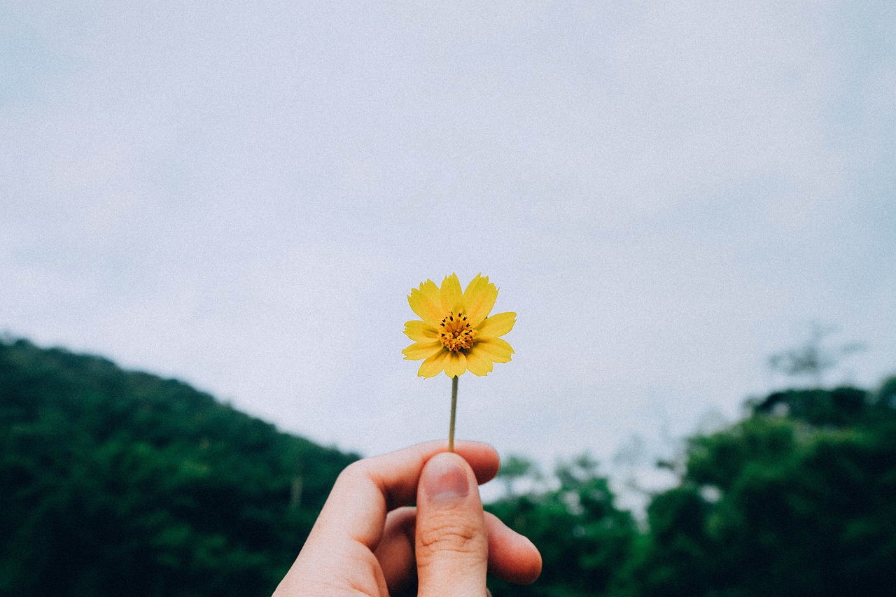 白天家政技能培训，开启新生活的一把钥匙