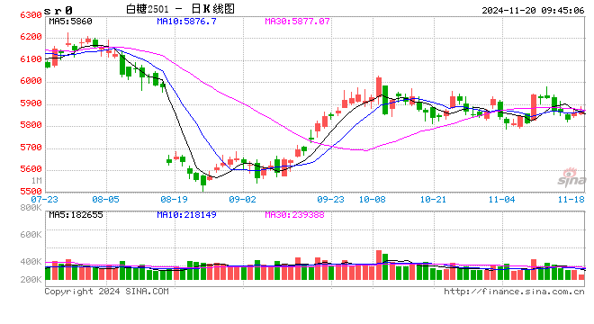 光大期货：11月20日软商品日报